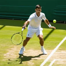 Tennis News: Serbian and Global Players Making Headlines